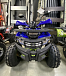 Квадроцикл PROMAX WILD 2.0 190 PRO (2025) в Владикавказе